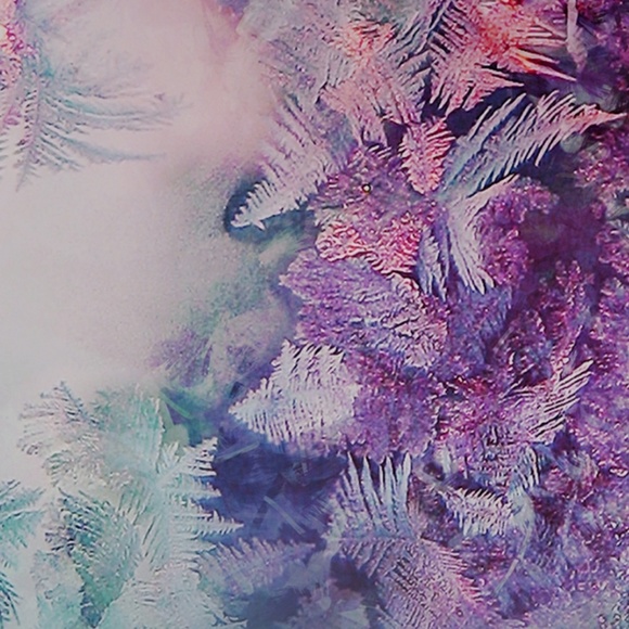 Meet your Posher, Shiondrell - Picture 1 of 1